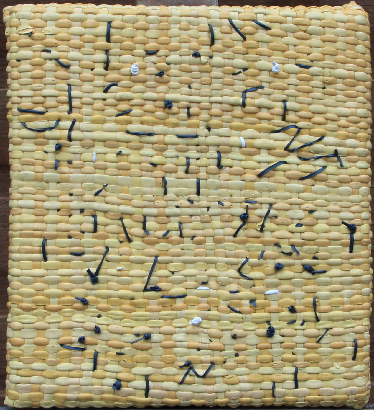 aIMG_1275